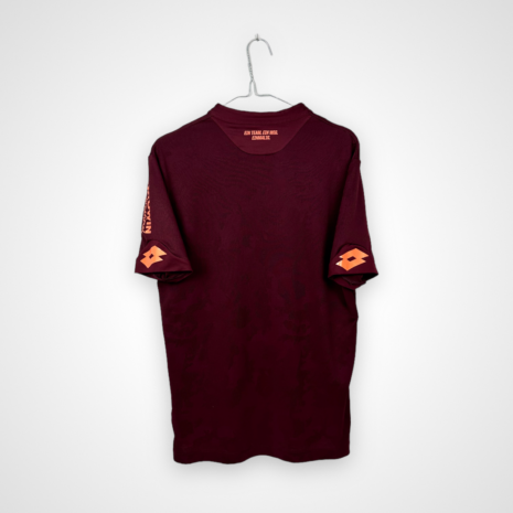 PhotoRoom_029_20230810_221842 TSG 1899 Hoffenheim Fußballtrikot, 2018/19 Dritter, sehr guter Zustand - Rückansicht