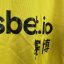 Koszulka piłkarska Watford FC, 2019/20 Home, stan dobry - nieznacznie popękany nadruk sponsora oraz dwa niewielkie zabrudzenia na plecach.- widok dodatkowy 4