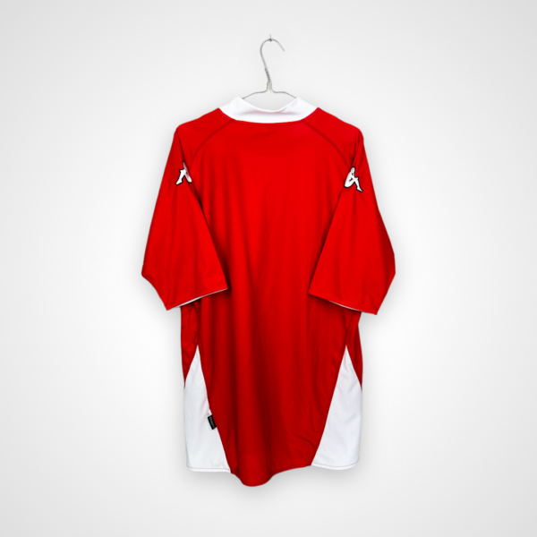 Koszulka piłkarska Walia, 2007/08 Home, stan doskonały- widok z tyłu