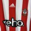 Koszulka piłkarska Southampton FC, 2015/16 Home, stan doskonały- widok dodatkowy 3