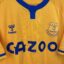 Koszulka piłkarska Everton FC, 2020/21 Away, stan bardzo dobry - jedno mikro zabrudzenie.- widok dodatkowy 4