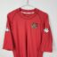 Wales football shirt, 2004/06 Home, very good condition - one micro soiling above crest.- close-up of front