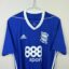 Fußballtrikot des Birmingham City FC, 2017/18 Heimtrikot, Zustand: einwandfrei – Nahaufnahme der Vorderseite