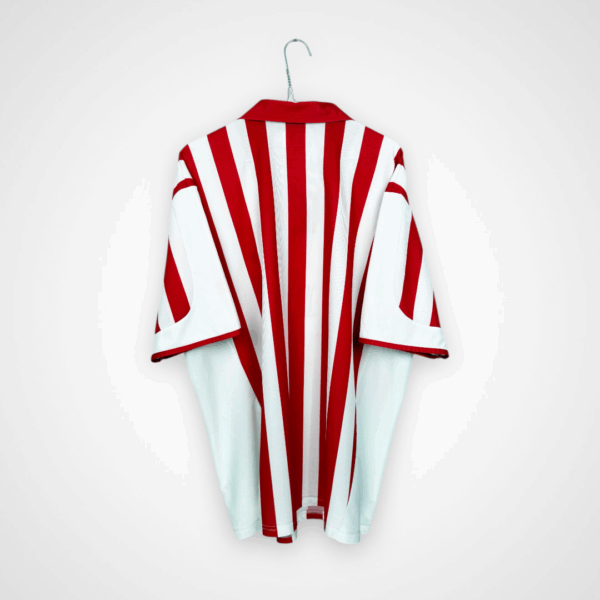 Koszulka piłkarska Stoke City FC, 2004/05 Home, stan bardzo dobry - jedno mikro zabrudzenie.- widok z tyłu