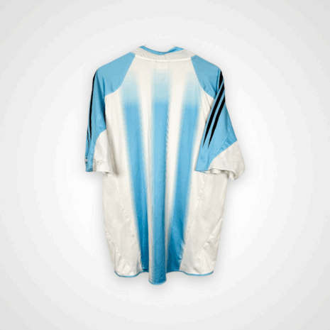 Photoroom_20250716_164045 Argentina football shirt, 2004/06 Home, poor condition - two holes on left sleeve and minor soiling on front and one on back.- rear view