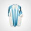 Argentina football shirt, 2004/06 Home, poor condition - two holes on left sleeve and minor soiling on front and one on back.- rear view